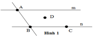 Trắc nghiệm: Điểm. Đường thẳng - Bài tập Toán lớp 6 chọn lọc có đáp án, lời giải chi tiết