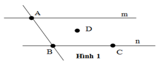 Trắc nghiệm: Điểm. Đường thẳng - Bài tập Toán lớp 6 chọn lọc có đáp án, lời giải chi tiết