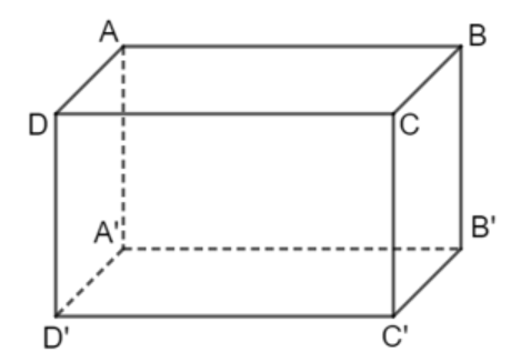 Cho hình hộp chữ nhật ABCD.A’B’C’D’. Chọn khẳng định sai. A. Hình hộp chữ nhật ABCD.A’B’C’D’ có 8 đỉnh; 12 cạnh và 6 mặt; (ảnh 1)