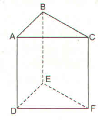 Các mặt bên của hình lăng trụ đứng tam giác là: A. Các hình bình hành; B. Các hình thoi; C. Các hình chữ nhật; D. Các hình tam giác. (ảnh 1)