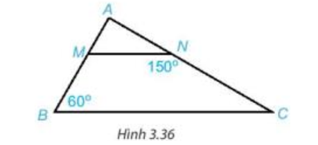 1. Cho Hình 3.36, biết MN // BC (ảnh 3)