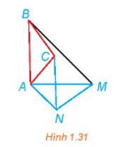 Bài 1.11 trang 20 Chuyên đề học tập Toán 11 Kết nối tri thức