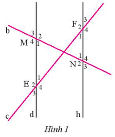 Quan sát Hình 1, biết d // h. Hãy kể tên một số cặp góc bằng nhau có trong (ảnh 1)