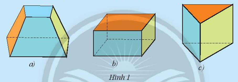 Hình nào dưới đây có sáu mặt đều là hình chữ nhật? (ảnh 1)