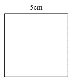 Biểu thức số biểu thị chu vi hình vuông có cạnh bằng 5 cm là: (ảnh 1)