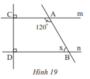 Quan sát Hình 19 và cho biết: a) Vì sao m // n? (ảnh 1)