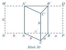 Hoạt động 8 trang 84 Sách giáo khoa Toán lớp 7 Tập 1: Quan sát hình lăng trụ đứng  (ảnh 1)