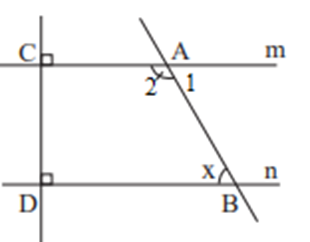 Quan sát Hình 19 và cho biết: a) Vì sao m // n? (ảnh 2)