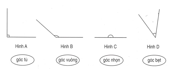 Bài tập cuối tuần Toán lớp 4 Chân trời sáng tạo Tuần 8 (ảnh 1)