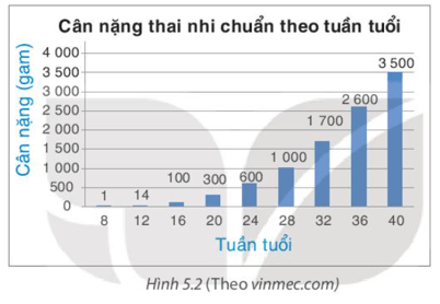 HĐ3 trang 94 Toán 8 Tập 1 | Kết nối tri thức Giải Toán 8