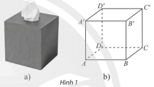 Hoạt động khám phá 1 trang 113 Toán 11 Tập 1 Chân trời sáng tạo | Giải Toán 11