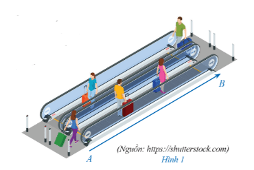 Khởi động trang 5 Chuyên đề học tập Toán 11 Cánh diều