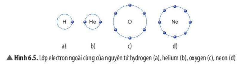  (ảnh 1)