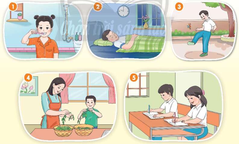 Hoạt động trải nghiệm lớp 3 Tuần 1 trang 5, 6, 7, 8 | Giải HĐTN lớp 3 Chân trời sáng tạo (ảnh 2)