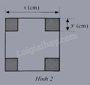 Sách bài tập Toán 8 Bài 1 (Cánh diều): Phân thức đại số (ảnh 1)