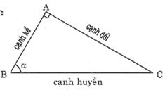 Bài tập ôn tập chương I hình học 9 (ảnh 2)