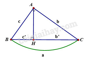 SBT Toán 9 Bài 1: Một số hệ thức về cạnh và đường cao trong tam giác vuông | Giải SBT Toán lớp 9 (ảnh 1)