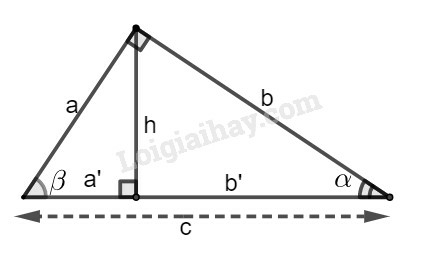 SBT Toán 9 Bài 2: Tỉ số lượng giác của góc nhọn | Giải SBT Toán lớp 9 (ảnh 5)