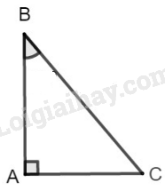 SBT Toán 9 Bài 3: Bảng lượng giác | Giải SBT Toán lớp 9 (ảnh 4)