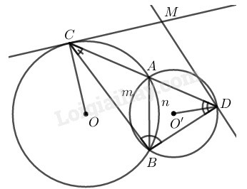 SBT Toán 9 Bài 4: Góc tạo bởi tia tiếp tuyến và dây cung | Giải SBT Toán lớp 9 (ảnh 1)