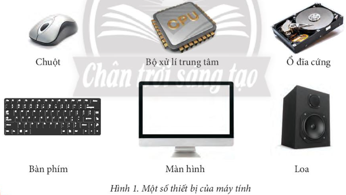 Tin học 7 Bài 1: Thiết bị vào và thiết bị ra | Chân trời sáng tạo (ảnh 1)