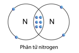 TOP 30 đề thi Học kì 1 Khoa học tự nhiên lớp 7 Cánh diều (4 đề có đáp án + ma trận) (ảnh 1)