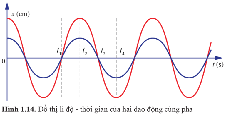 Giải Vật lí 11 Bài 1 (Cánh diều): Dao động điều hòa (ảnh 1)