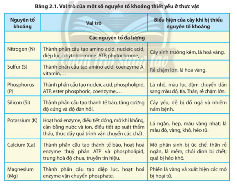 Giải Sinh học 11 Bài 2 (Chân trời sáng tạo): Trao đổi nước và khoáng ở thực vật (ảnh 1)