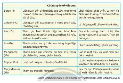 Giải Sinh học 11 Bài 2 (Chân trời sáng tạo): Trao đổi nước và khoáng ở thực vật (ảnh 1)