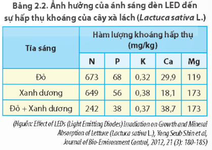 Giải Sinh học 11 Bài 2 (Chân trời sáng tạo): Trao đổi nước và khoáng ở thực vật (ảnh 1)