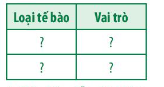 Giải Sinh học 11 Bài 12 (Chân trời sáng tạo): Miễn dịch ở người và động vật (ảnh 1)