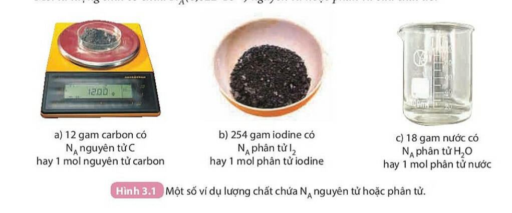 Lý thuyết KHTN 8 Bài 3 (Kết nối tri thức): Mol và tỉ khối chất khí (ảnh 1)