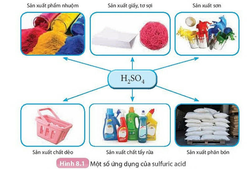 Lý thuyết KHTN 8 Bài 8 (Kết nối tri thức): Acid (ảnh 1)