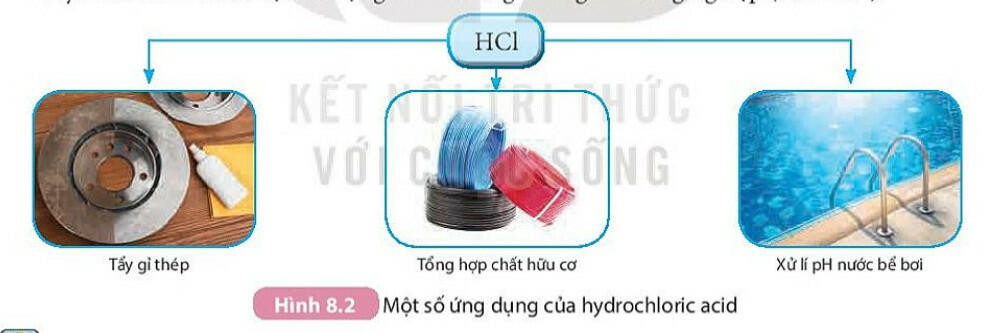 Lý thuyết KHTN 8 Bài 8 (Kết nối tri thức): Acid (ảnh 1)