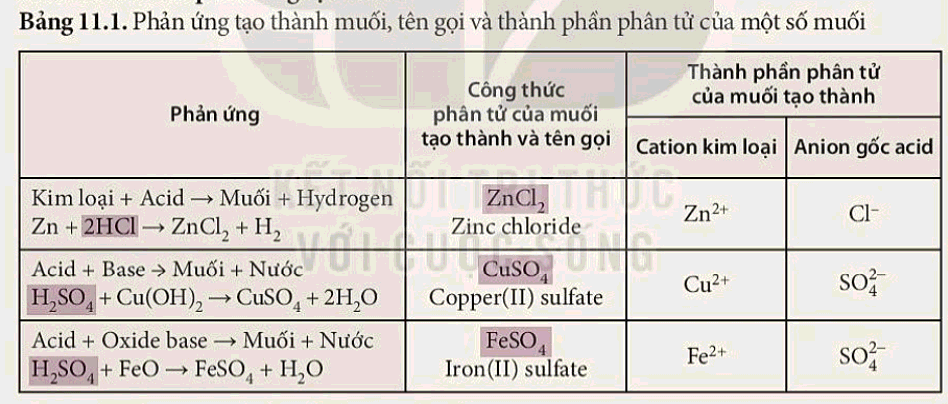 Lý thuyết KHTN 8 Bài 11 (Kết nối tri thức): Muối (ảnh 1)