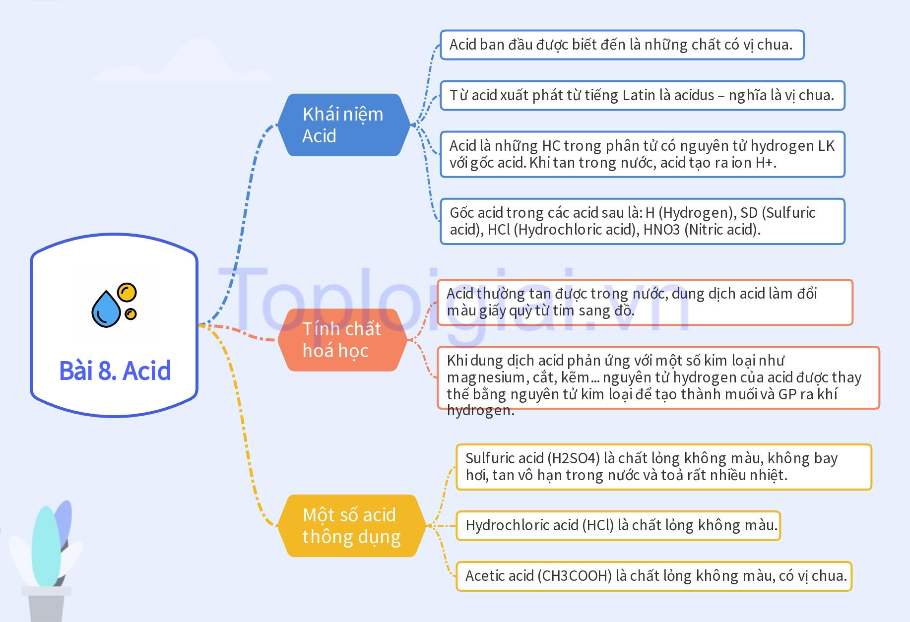 Lý thuyết KHTN 8 Bài 8 (Kết nối tri thức): Acid (ảnh 1)