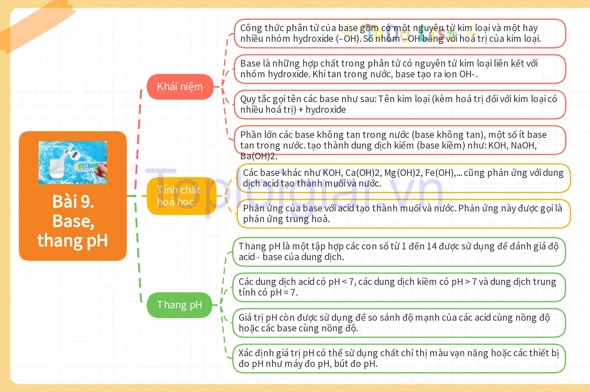 Lý thuyết KHTN 8 Bài 9 (Kết nối tri thức): Base, thang pH (ảnh 1)