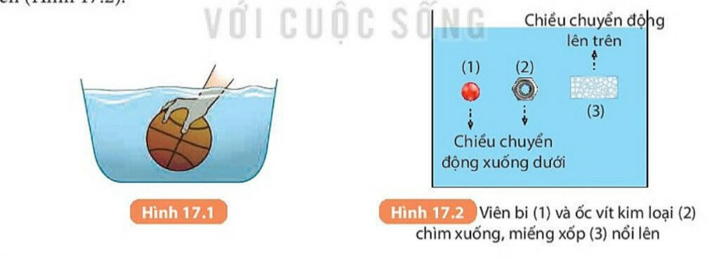 Lý thuyết KHTN 8 Bài 17 (Kết nối tri thức): Lực đẩy Archimedes (ảnh 1)