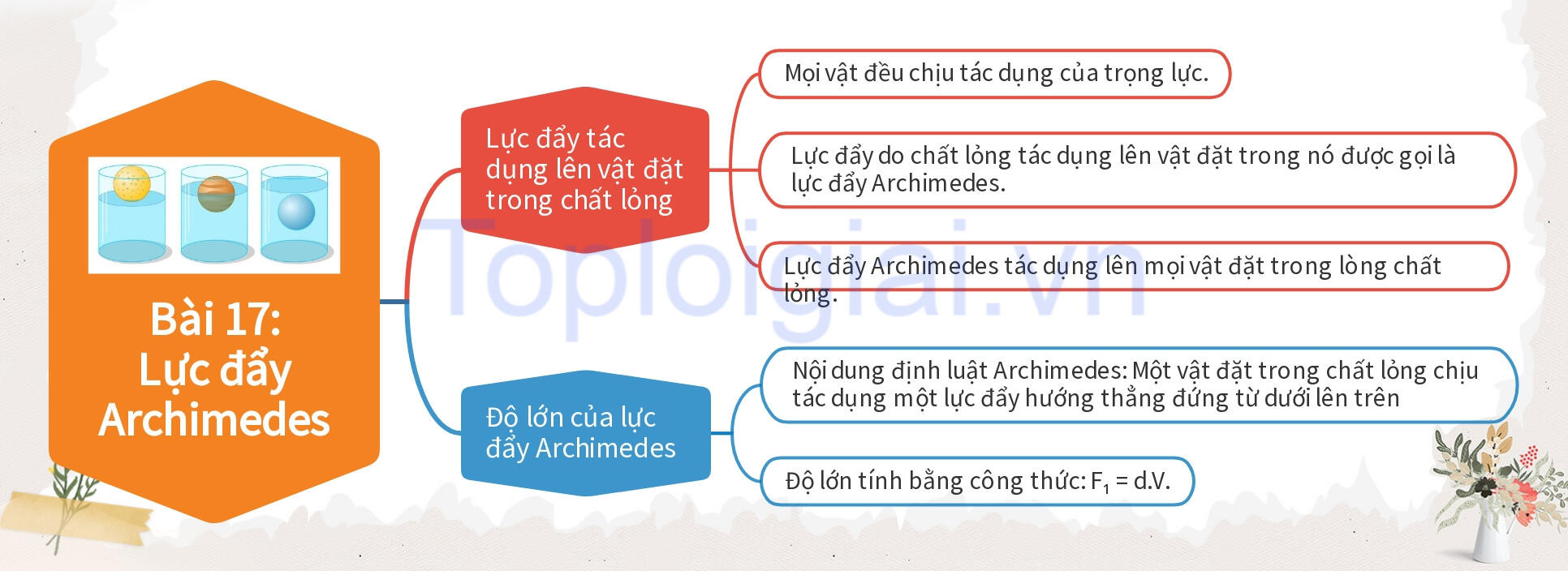 Lý thuyết KHTN 8 Bài 17 (Kết nối tri thức): Lực đẩy Archimedes (ảnh 1)