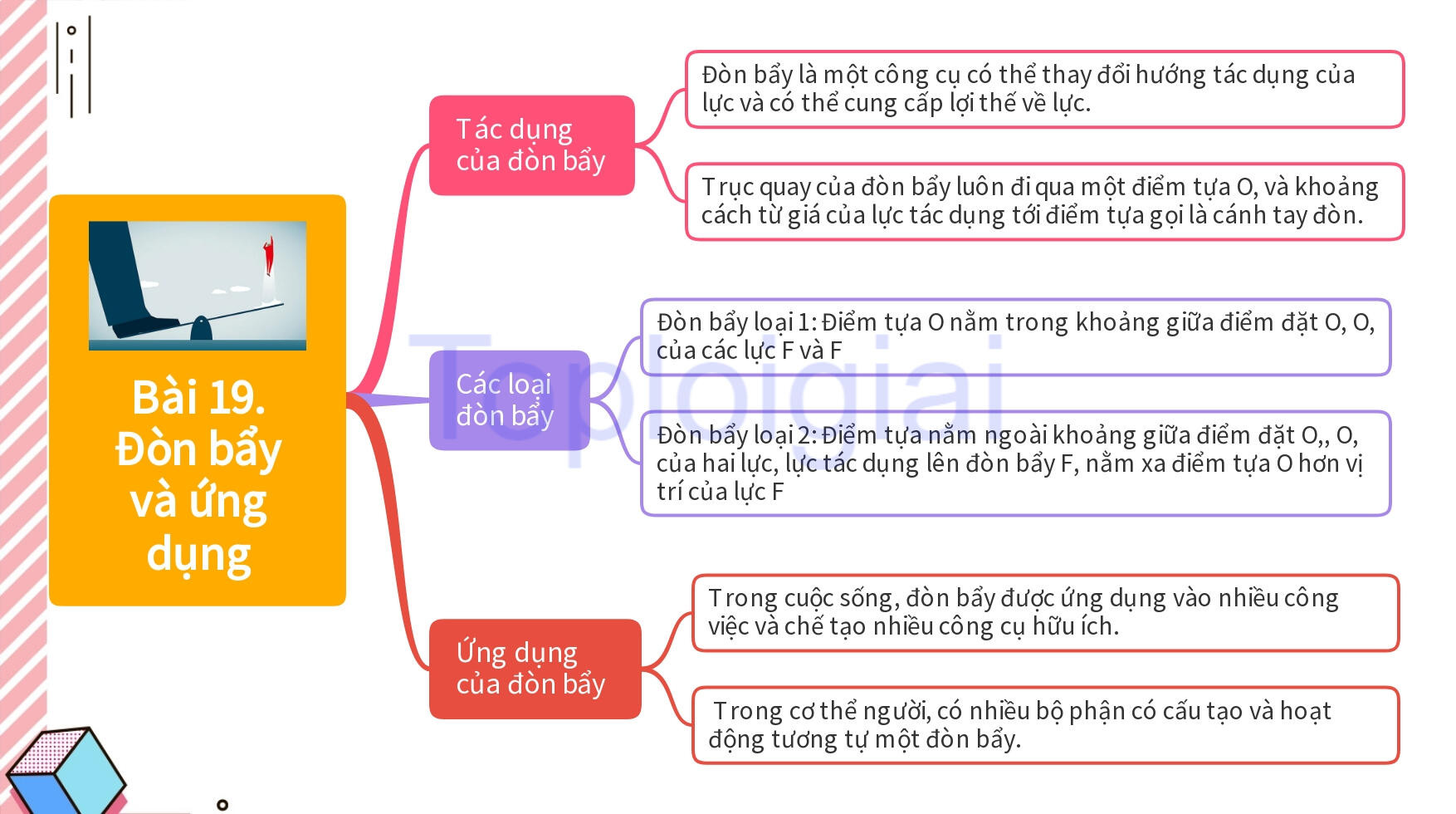 Lý thuyết KHTN 8 Bài 19 (Kết nối tri thức): Đòn bẩy và ứng dụng (ảnh 1)