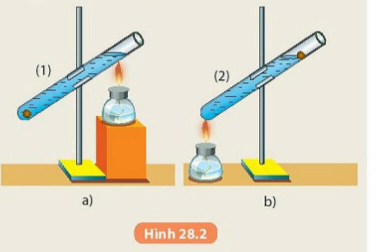 Lý thuyết KHTN 8 Bài 28 (Kết nối tri thức): Sự truyền nhiệt (ảnh 1)