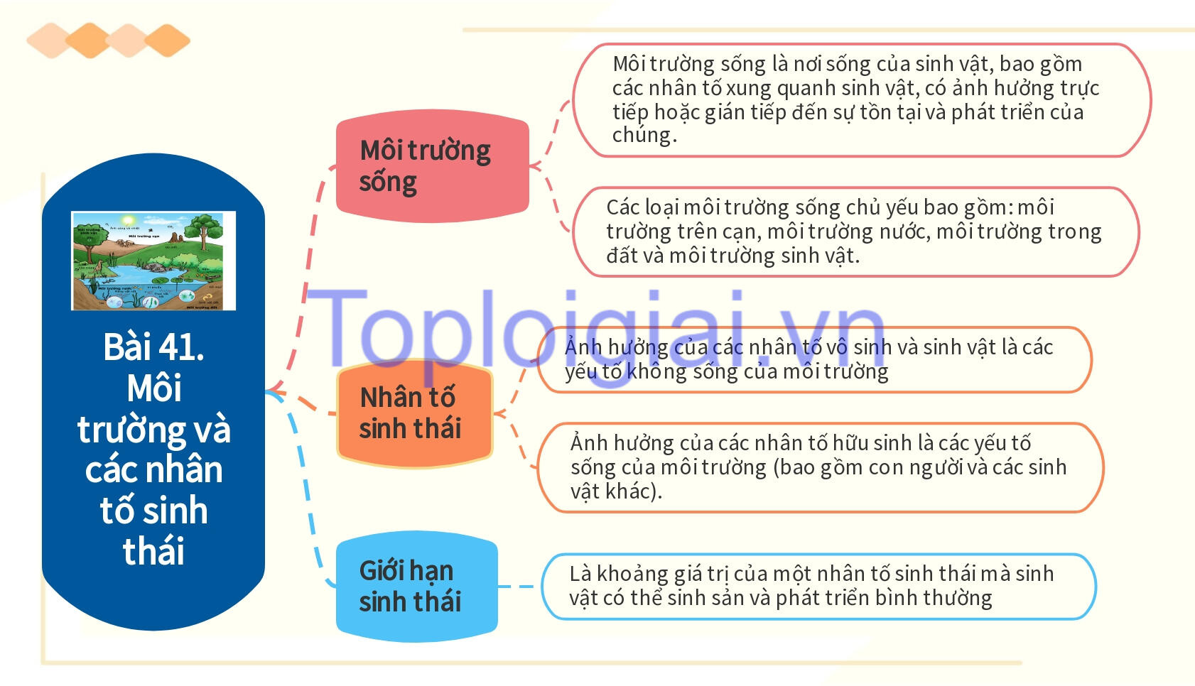 Lý thuyết KHTN 8 Bài 41 (Kết nối tri thức): Môi trường và các nhân tố sinh thái (ảnh 1)