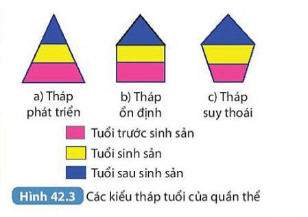 Lý thuyết KHTN 8 Bài 42 (Kết nối tri thức): Quần thể sinh vật (ảnh 1)