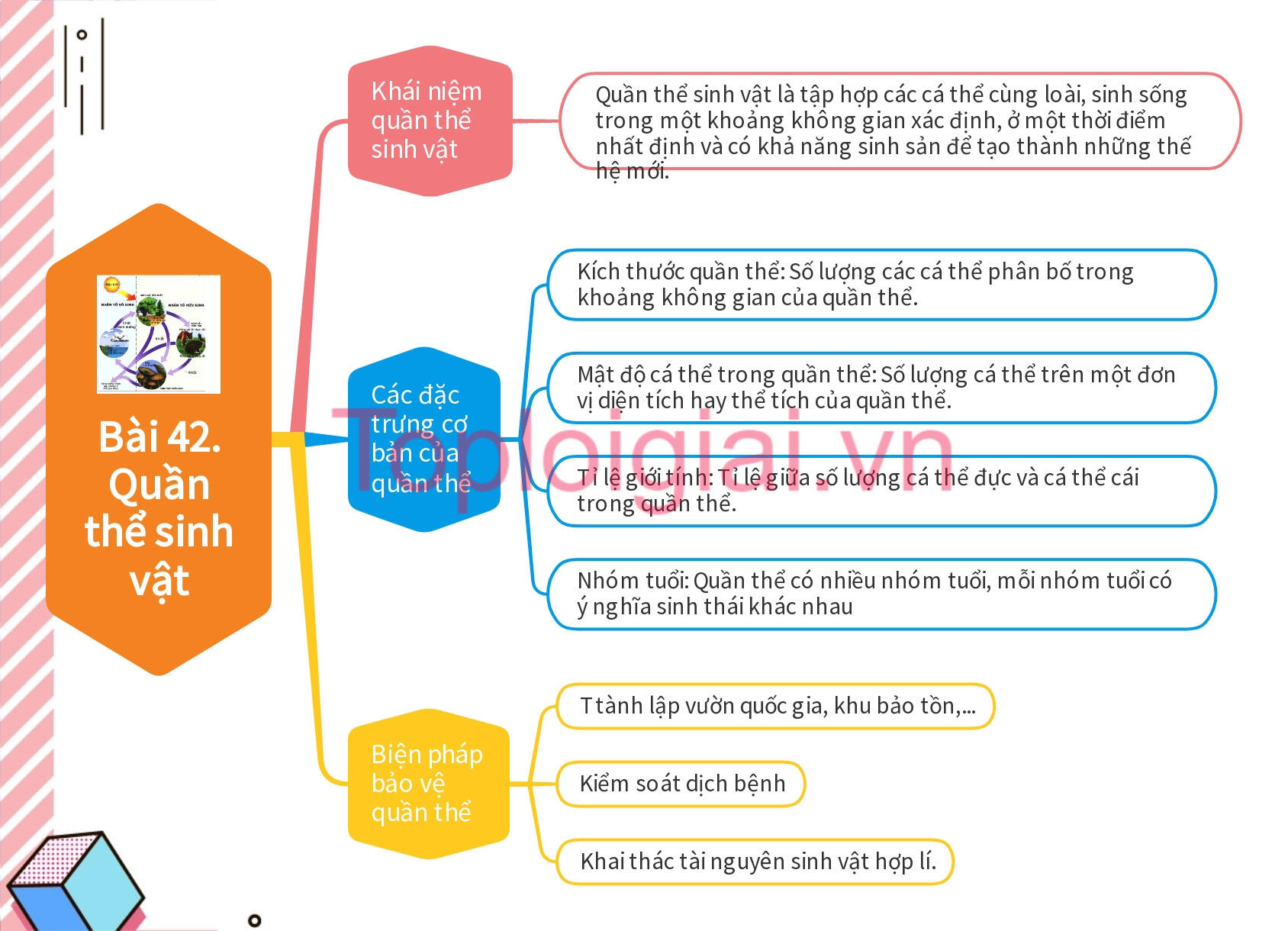 Lý thuyết KHTN 8 Bài 42 (Kết nối tri thức): Quần thể sinh vật (ảnh 1)