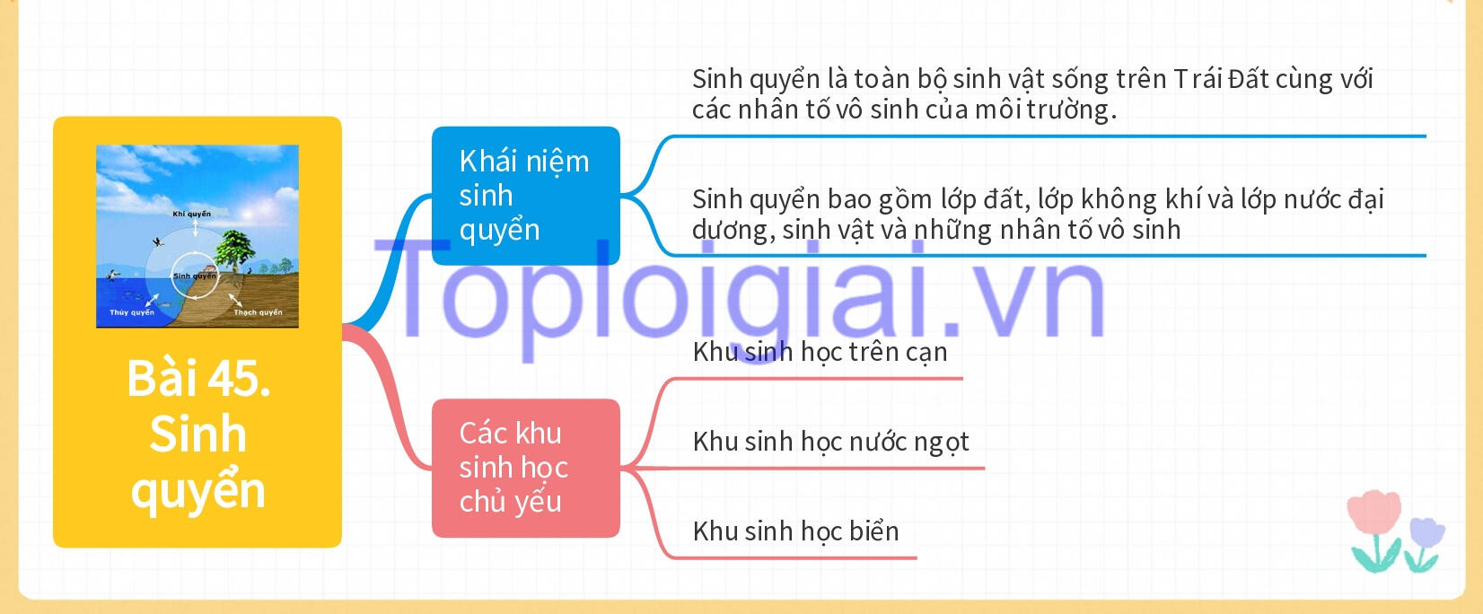 Lý thuyết KHTN 8 Bài 45 (Kết nối tri thức): Sinh quyển (ảnh 1)