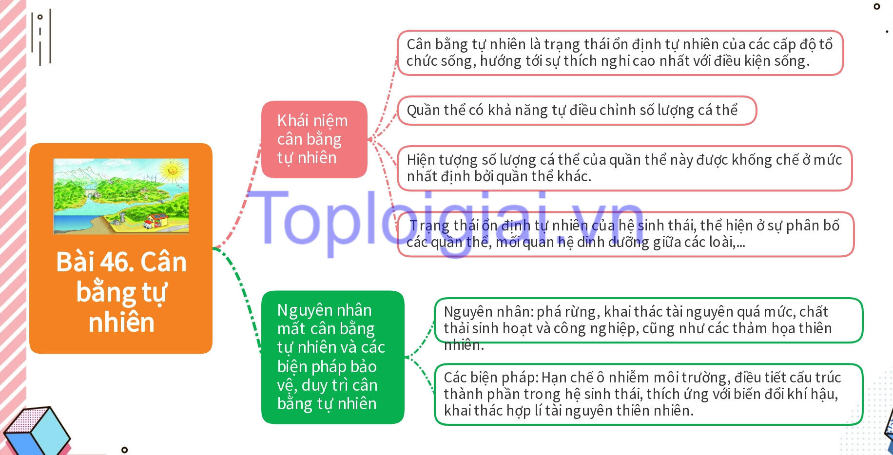 Lý thuyết KHTN 8 Bài 46 (Kết nối tri thức): Cân bằng tự nhiên (ảnh 1)