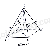 Sách bài tập Toán 8 Bài 2 (Cánh diều): Hình chóp tứ giác đều (ảnh 3)