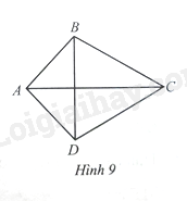 Sách bài tập Toán 8 Bài 2 (Cánh diều): Tứ giác (ảnh 7)