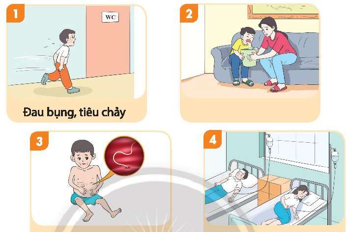 Hoạt động trải nghiệm lớp 3 Tuần 5 trang 16, 17, 18 | Giải HĐTN lớp 3 Chân trời sáng tạo (ảnh 1)