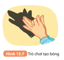 Khoa học tự nhiên 7 Bài 15: Năng lượng ánh sáng. Tia sáng, vùng tối | KHTN 7 Kết nối tri thức (ảnh 9)